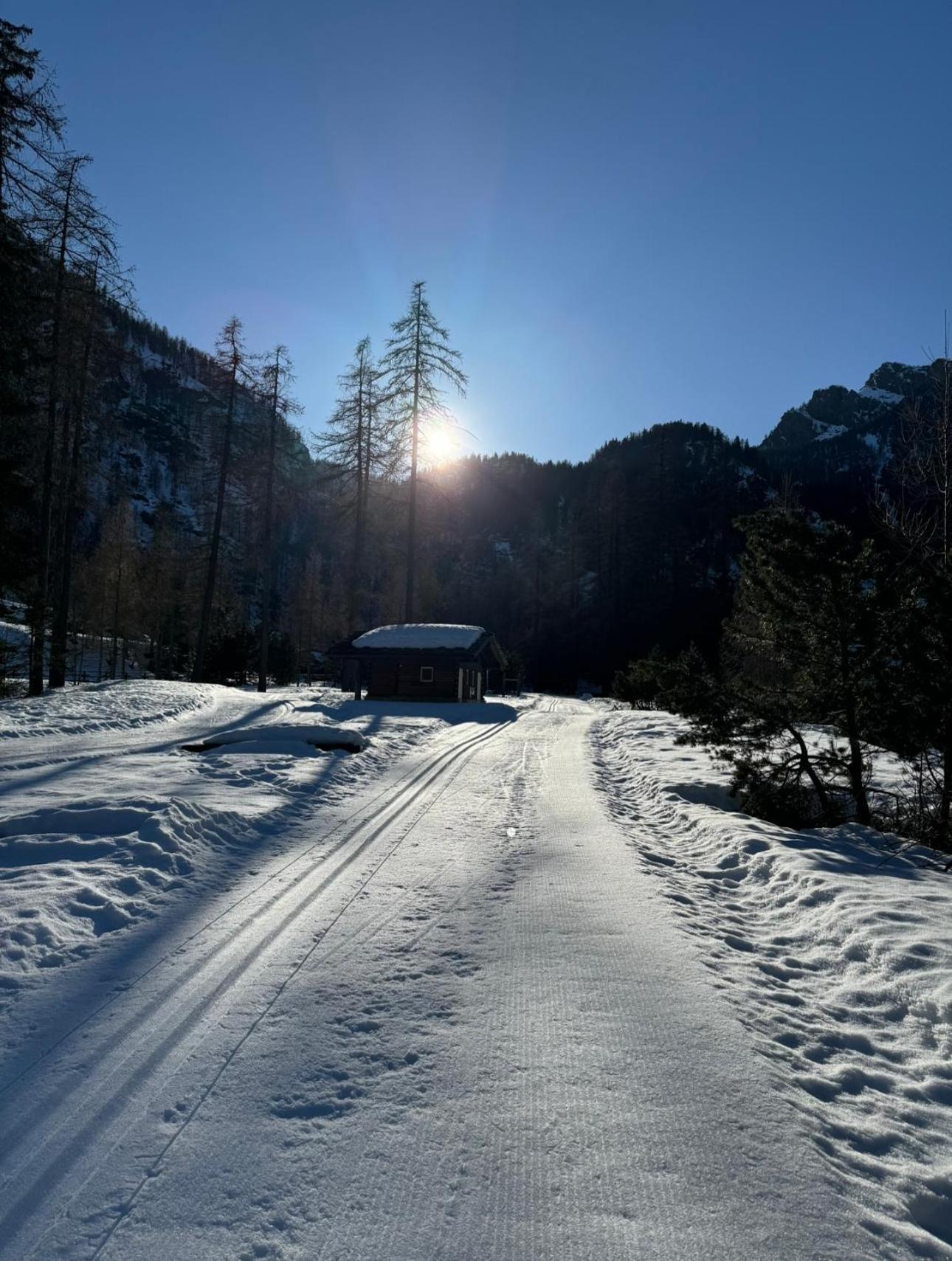 Il Castello Nel Bosco, Appartamento Torrente Champorcher Esterno foto