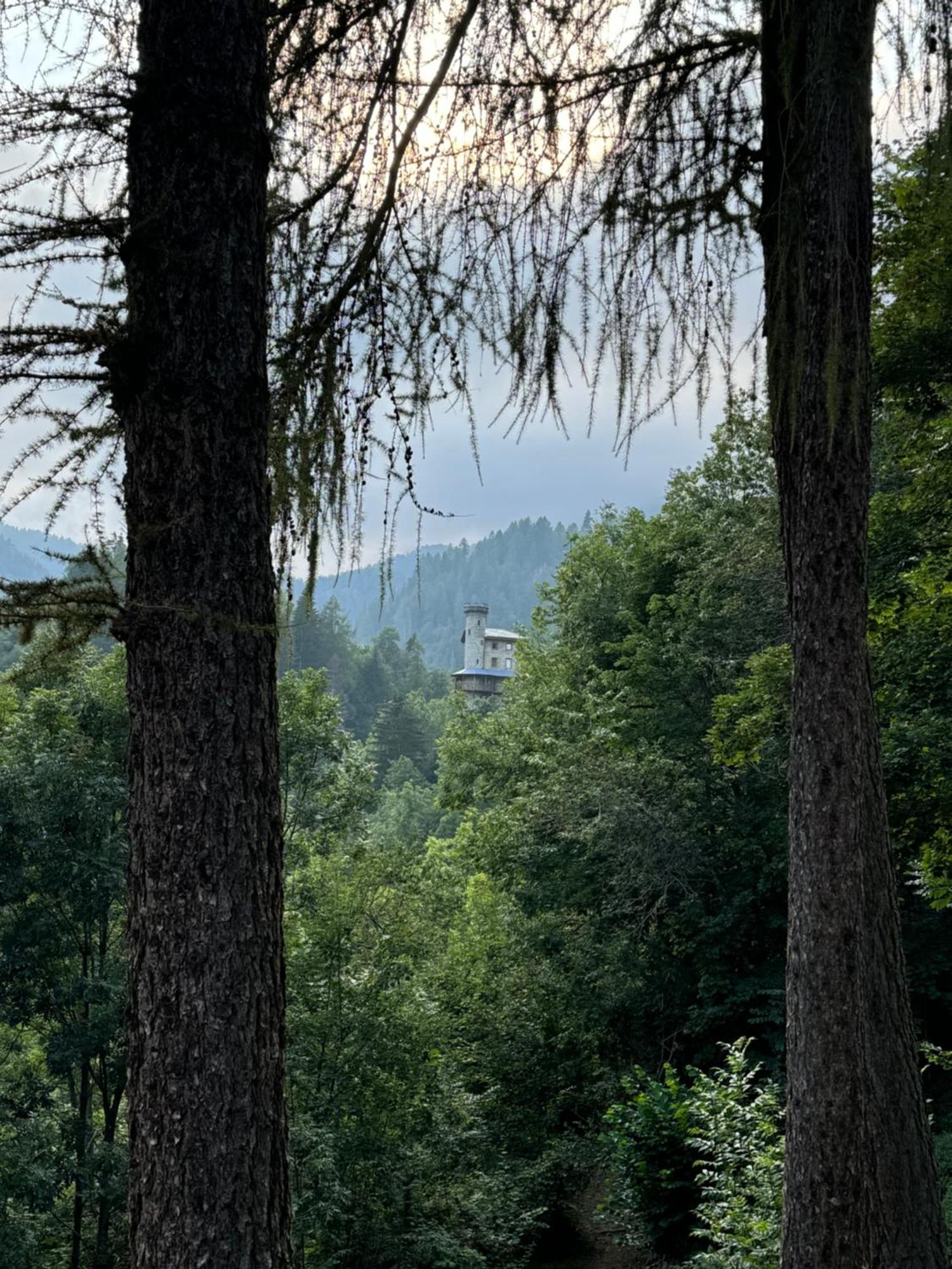 Il Castello Nel Bosco, Appartamento Torrente Champorcher Esterno foto